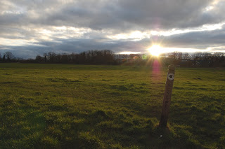 Dsc 0010