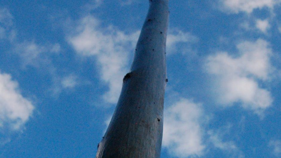 Dsc 0312