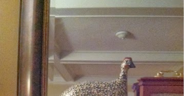 Blogger Image 1071317776
