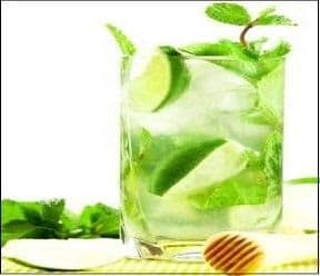 Mint Limeade 4241 F